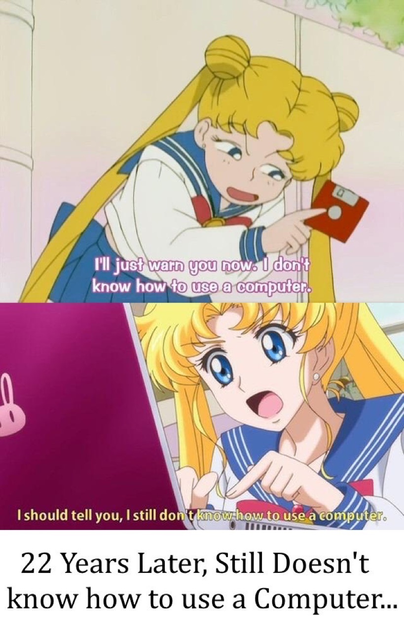 two sailor moon panels — top: "I'll just warn you now. I don't know how to use a computer." / bottom (newer art): "I should tell you, I still don't know how to use a computer." — caption "22 years later, still doesn't know how to use a Computer…"